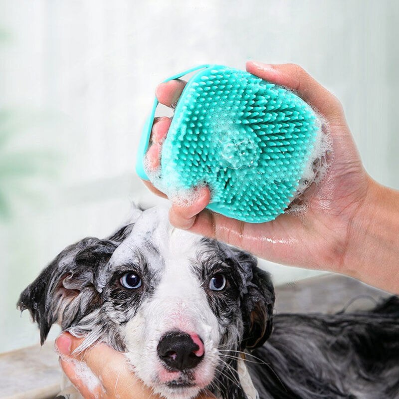 Brosse de bain pour chien